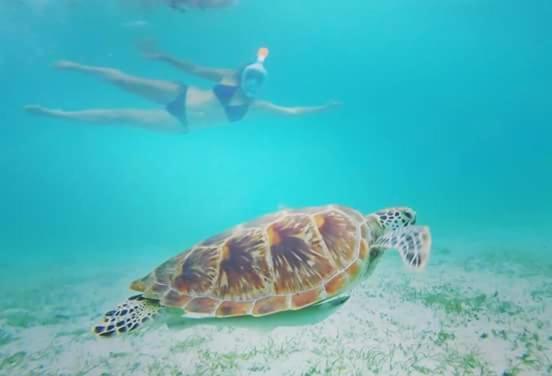 Acuario Beach Inn San Vicente  Luaran gambar